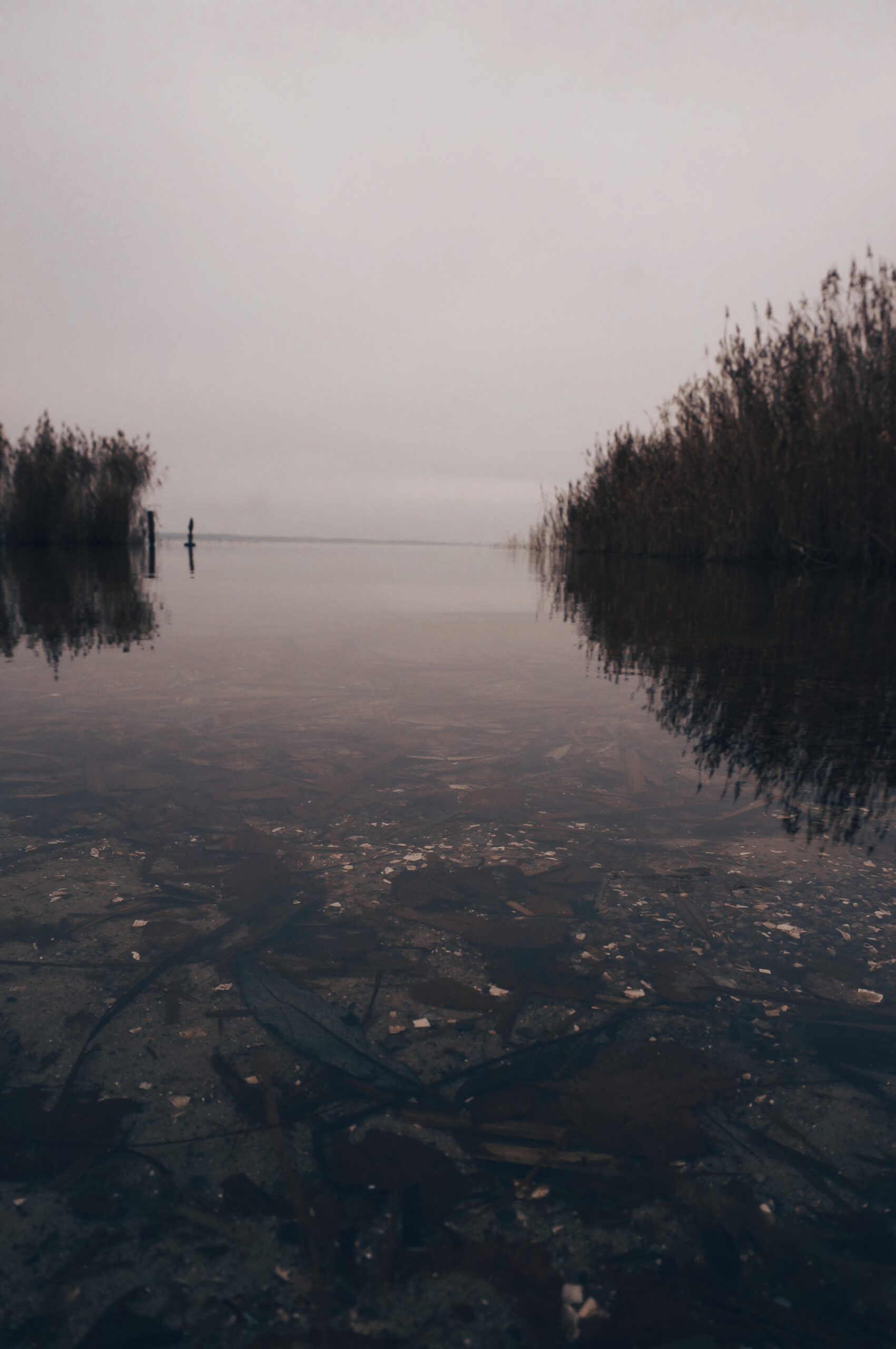 Jens Scheider Fotograf Winter Vorpommern