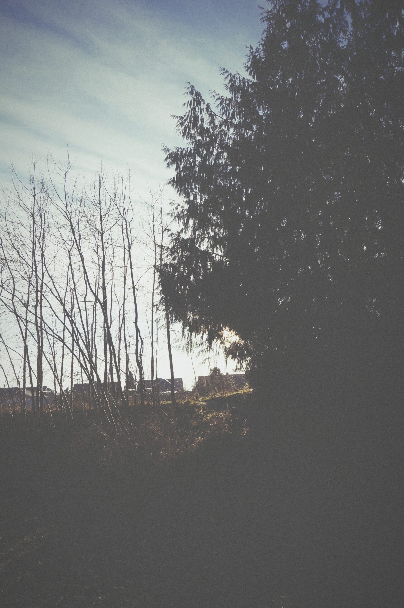 Jens Scheider Fotograf Lassan Vorpommern