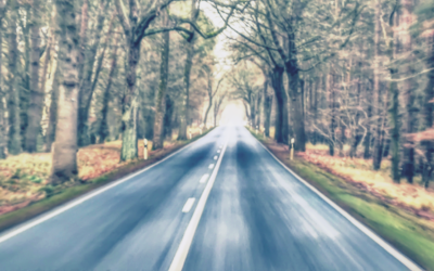 Der schönste Novembertag im Dezember