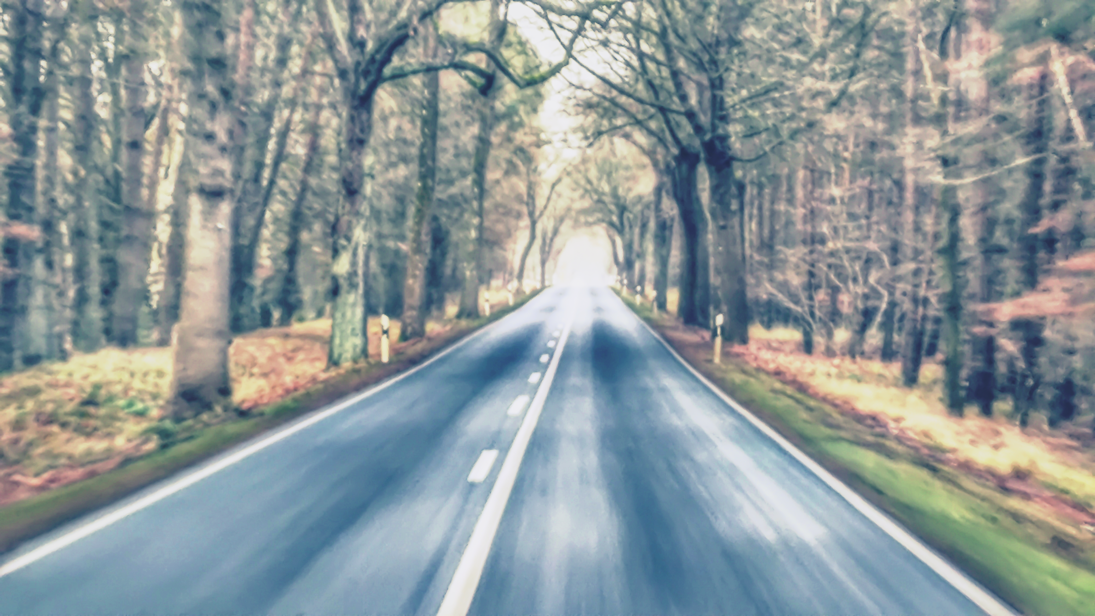 Der schönste Novembertag im Dezember