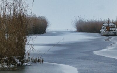 Jens Scheider - Fotografie Kunst - Onlineshop und Blog 4 Notizbücher, Markenmagie, Führerschein und ein Rückschritt in die Zukunft