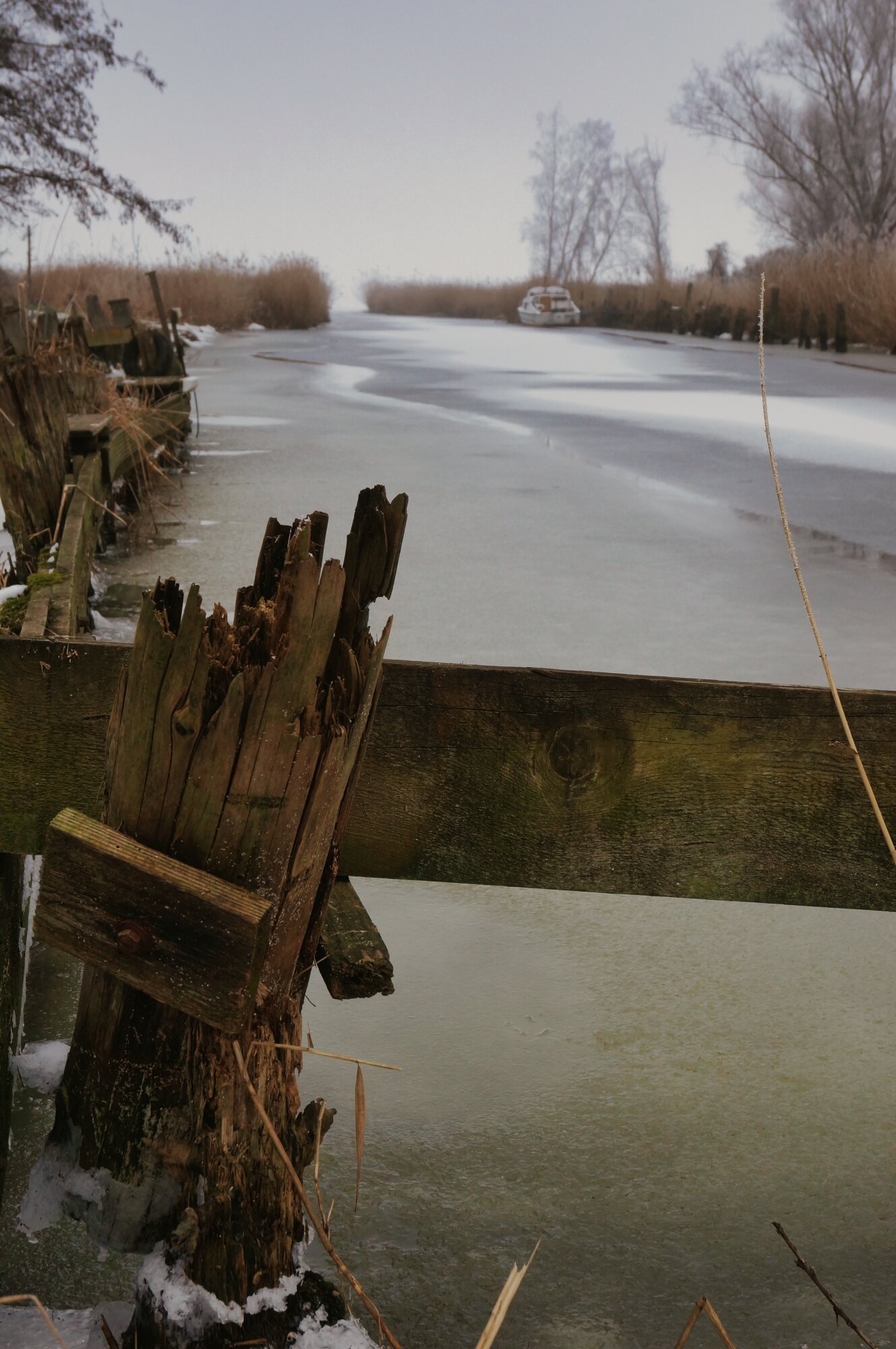 Jens Scheider Fotograf Lassan Wolgast Anklam Greifswald