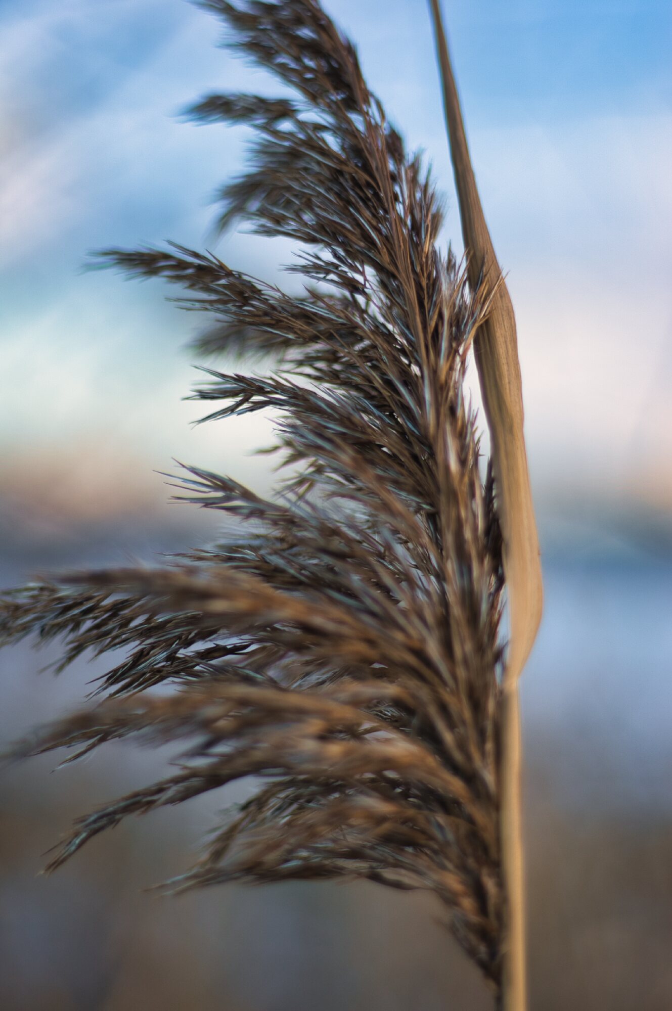 Jens Scheider Fotograf Lassan Wolgast Anklam Greifswald