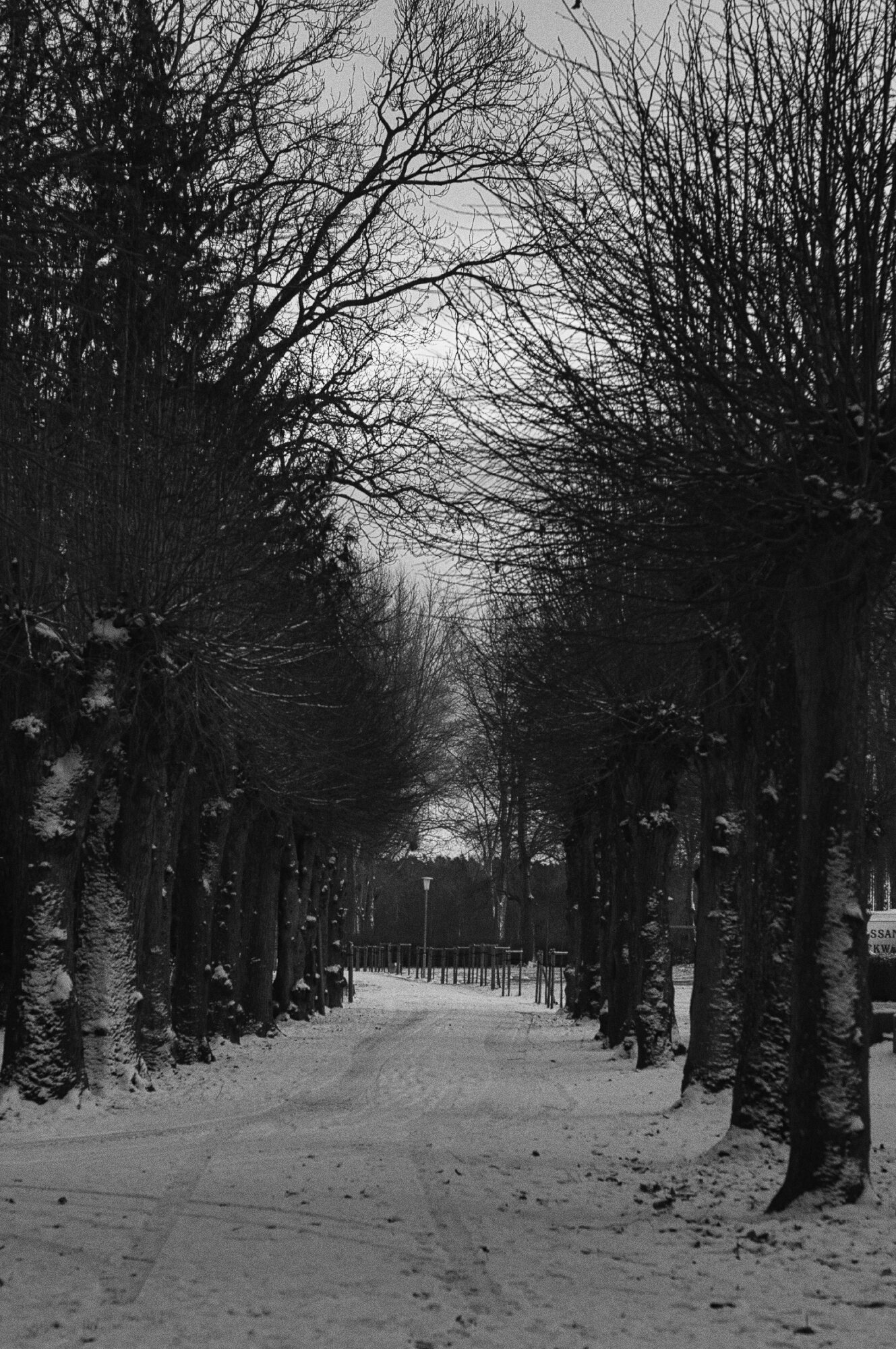 Jens Scheider Fotograf Lassan Wolgast Anklam Greifswald