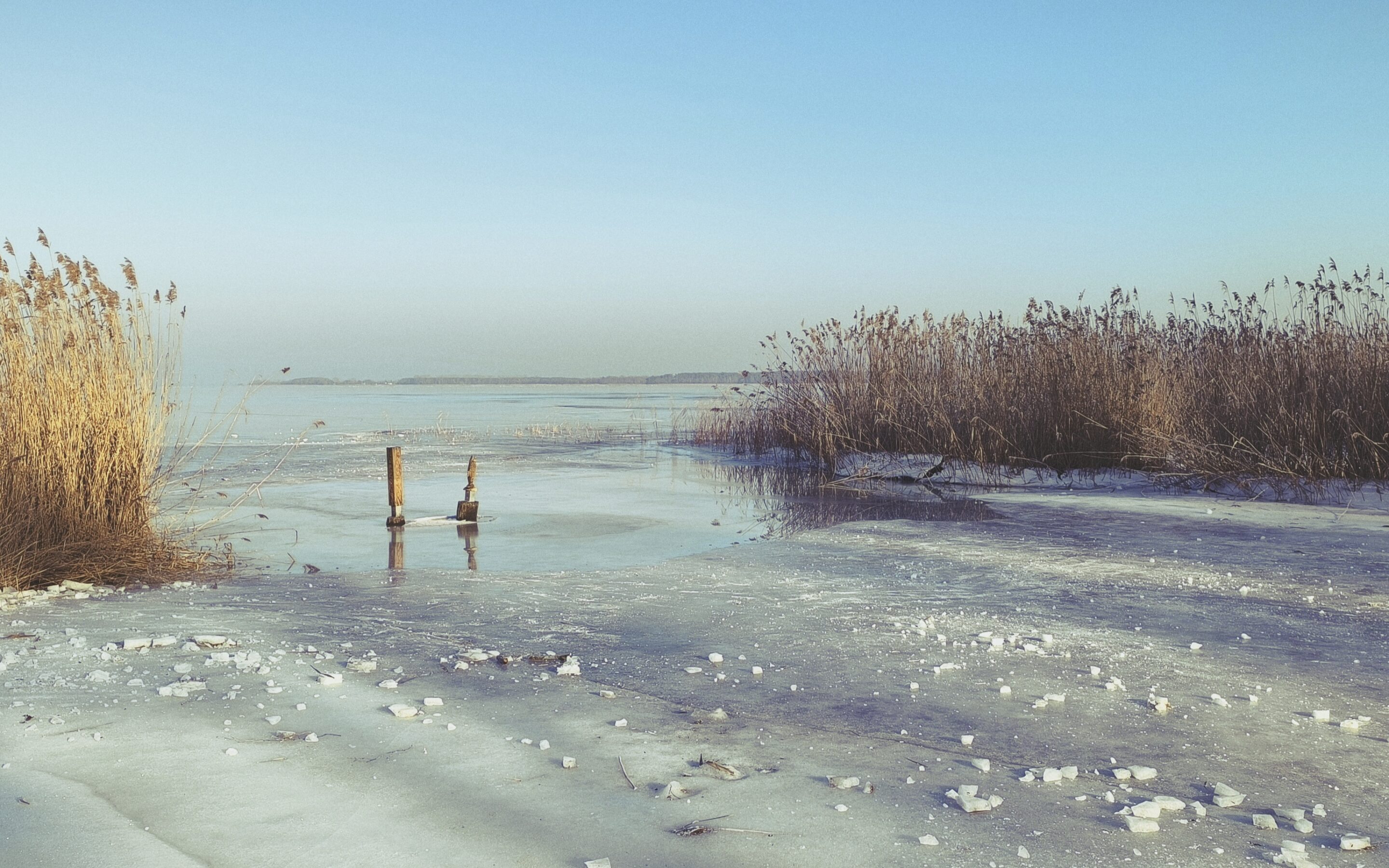 Eisige Momente, heiße Angebote & verborgene Schätze – warum der Januar noch eine Überraschung für dich bereithält!