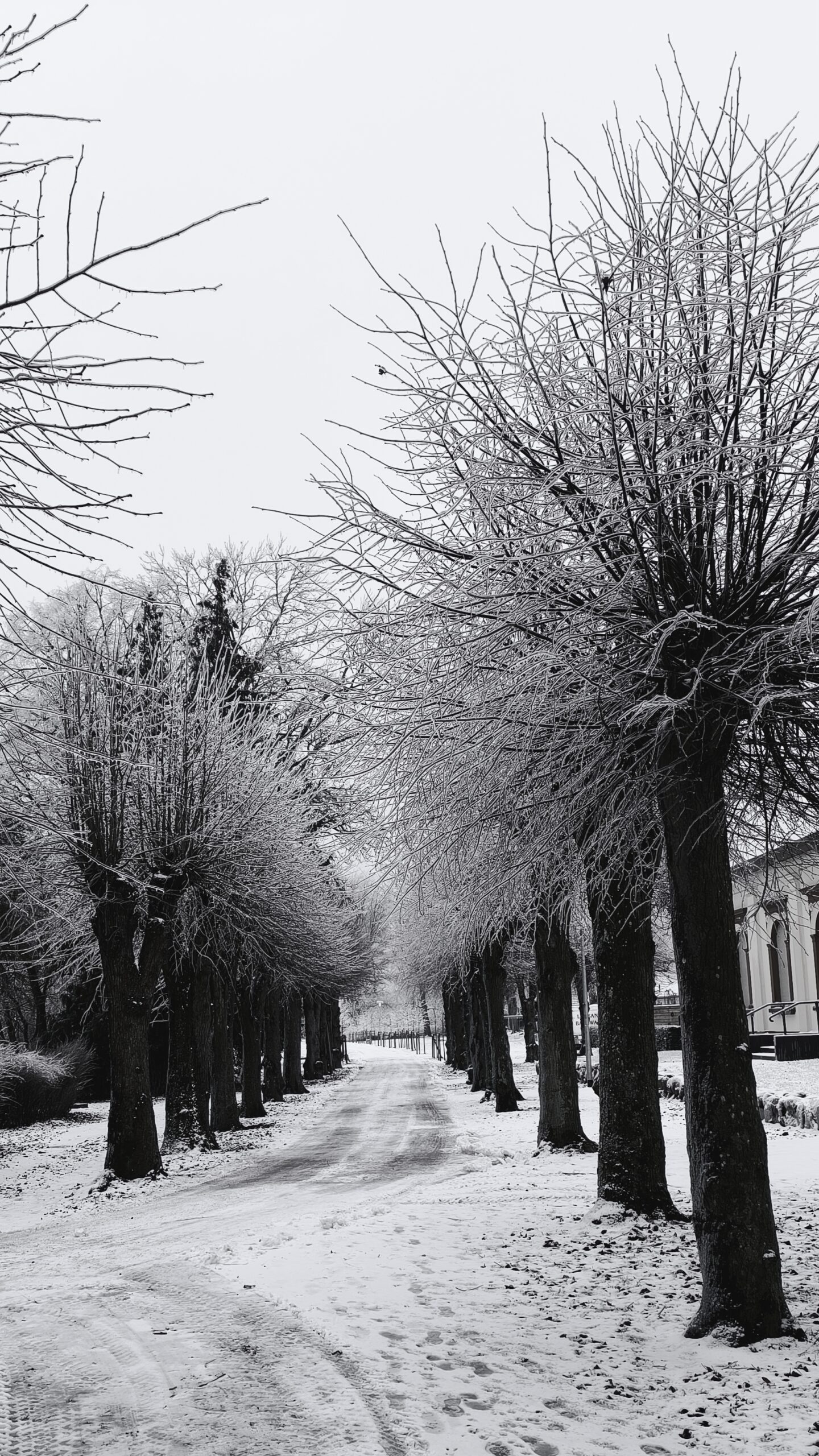 Jens Scheider eisregen Foto Januar 2026
