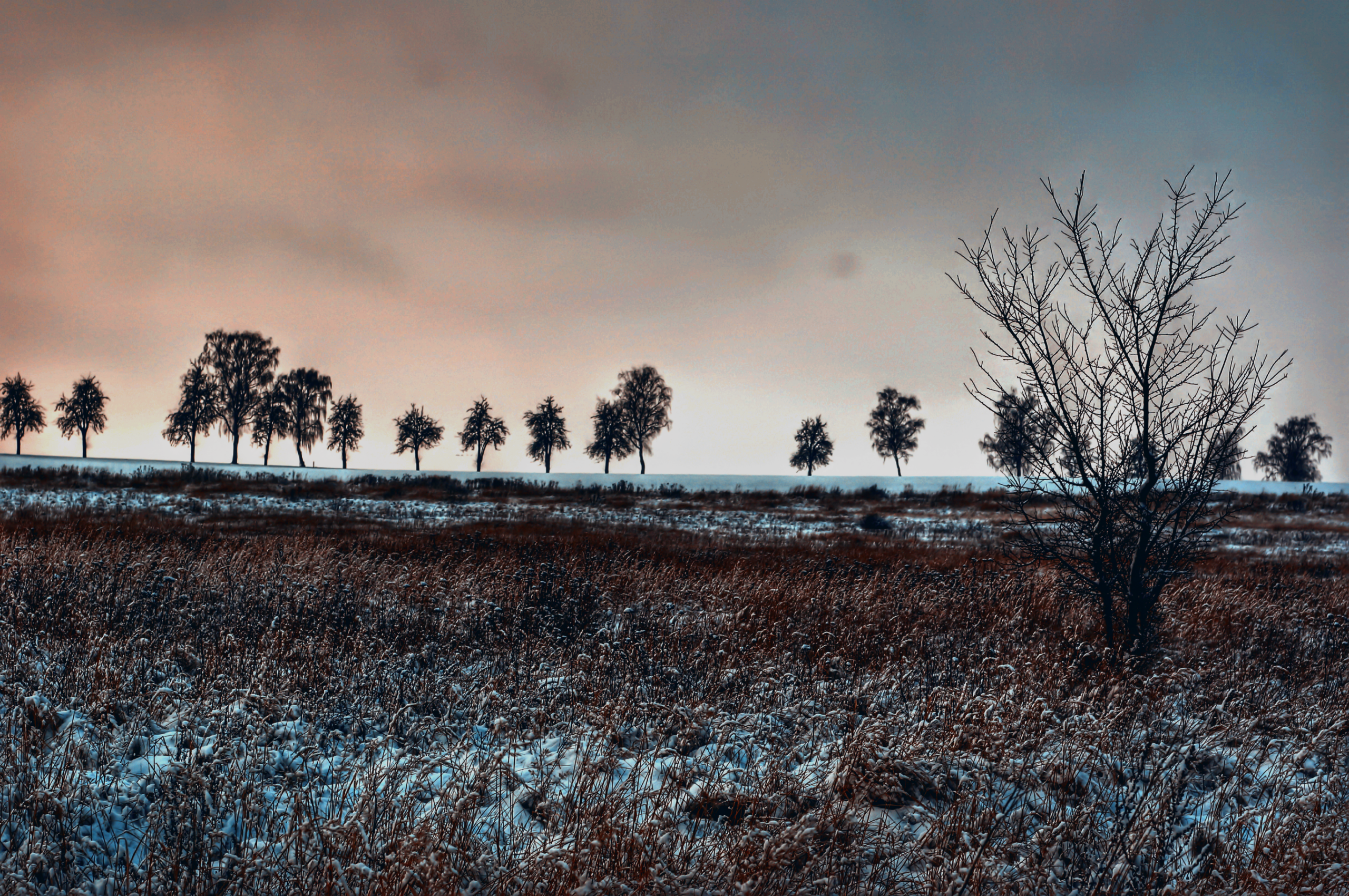 Jens Scheider Fotograf Lassan Wolgast Anklam Greifswald