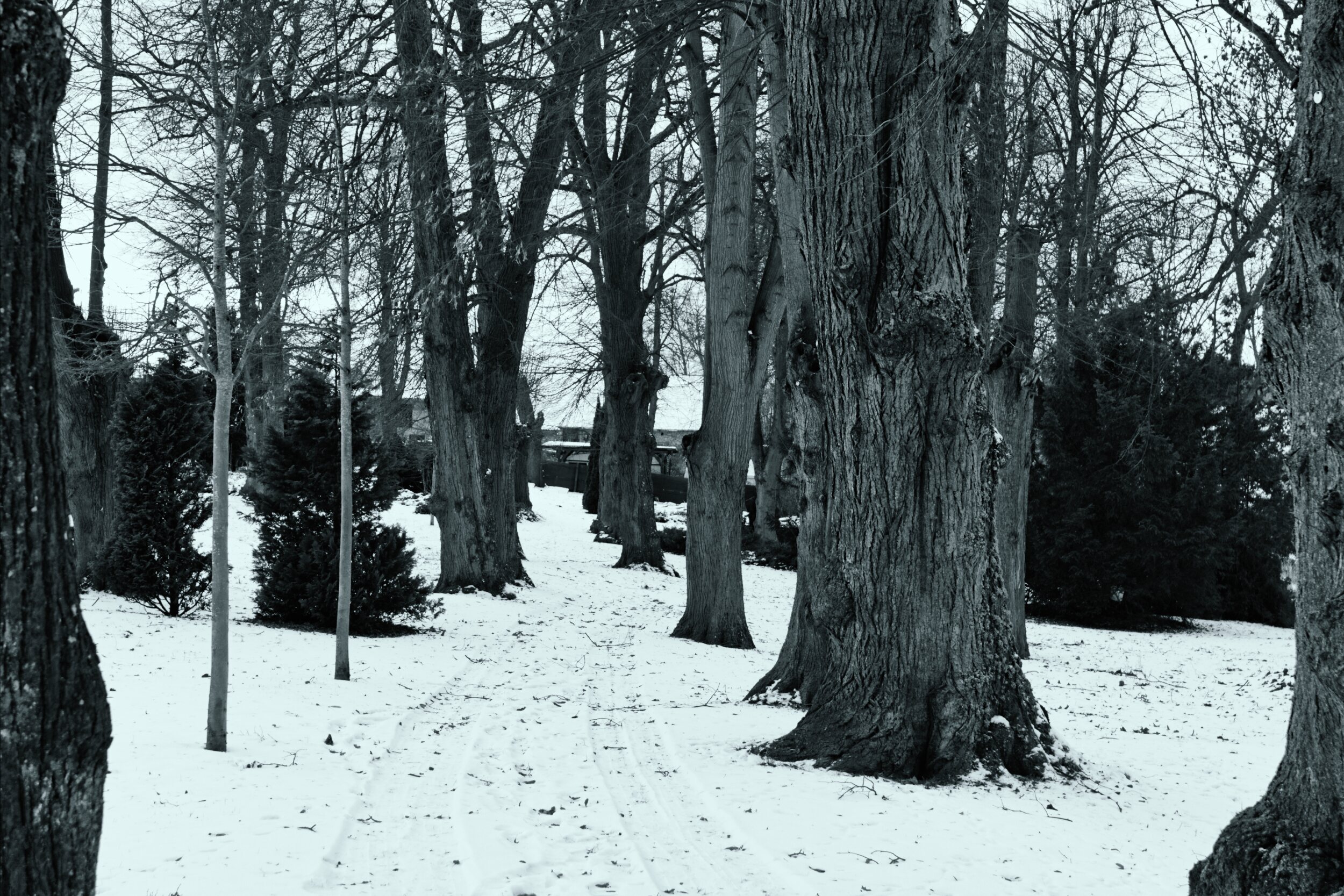 Jens Scheider Fotograf Lassan Wolgast Anklam Greifswald