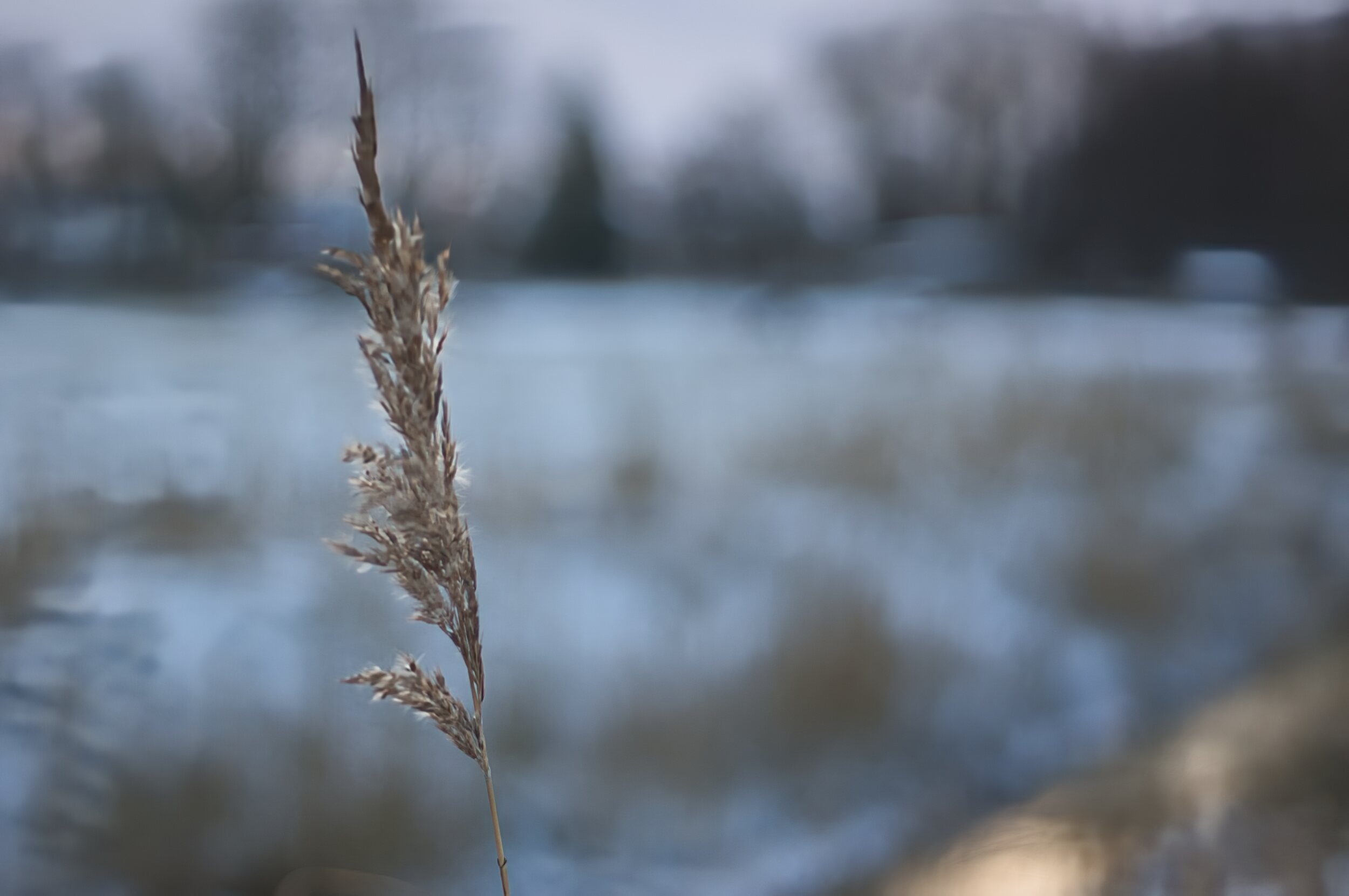 Jens Scheider Fotograf Lassan Wolgast Anklam Greifswald