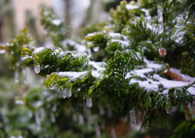 Jens Scheider eisregen Foto Januar 2026