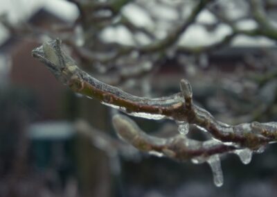 Jens Scheider eisregen Foto Januar 2026