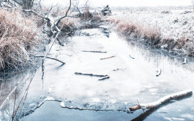 Spikes, alles vereist, Sushi und ne Füllung mit Zuzahlung.