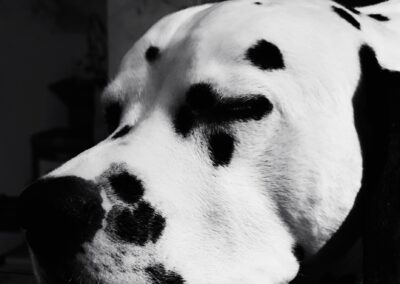 Bauschaum, Romantik, Badelatschen und KEIN Deutschrap 5