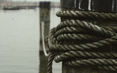 Wenn die Wand zur Bühne wird: Wie eine Fotografie aus meinem Heimathafen die Raumgestaltung eines Sammlers prägte – und warum Ästhetik mehr ist als nur Dekoration