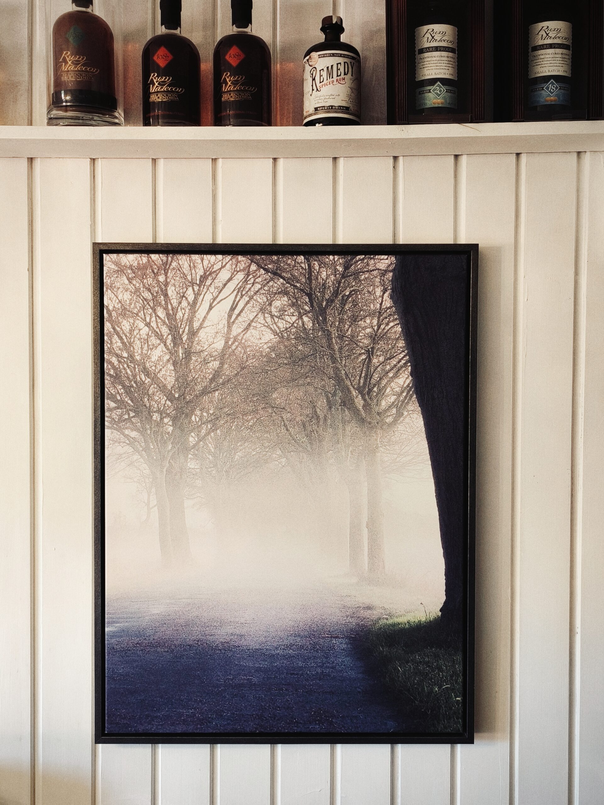 Nebel Allee Usedom Fotografie jens Scheider