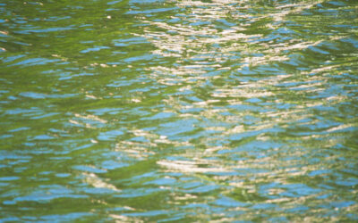 Jens Scheider - Fotografie Kunst - Onlineshop und Blog 2 Water & Reflections: Wenn die Saale mit Licht malt