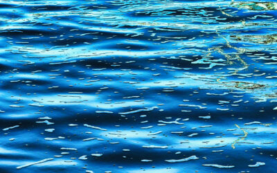 Water & Reflections – Wenn das Licht auf Wasser schreibt